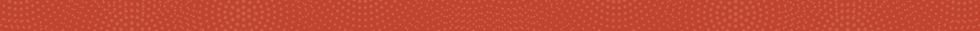 Website Divider (37).png