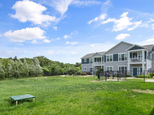 Pet-Friendly Apartments in Grand Rapids: What Your Pup Will Love About Overlook