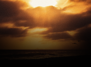 Design sem nome (4).png