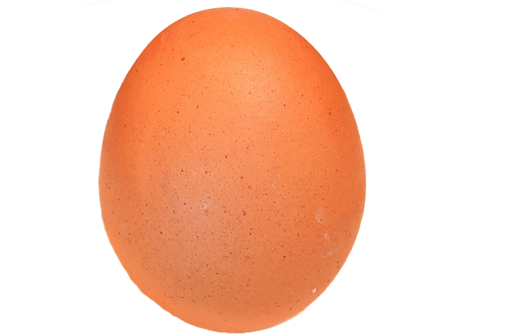 Porched Egg
