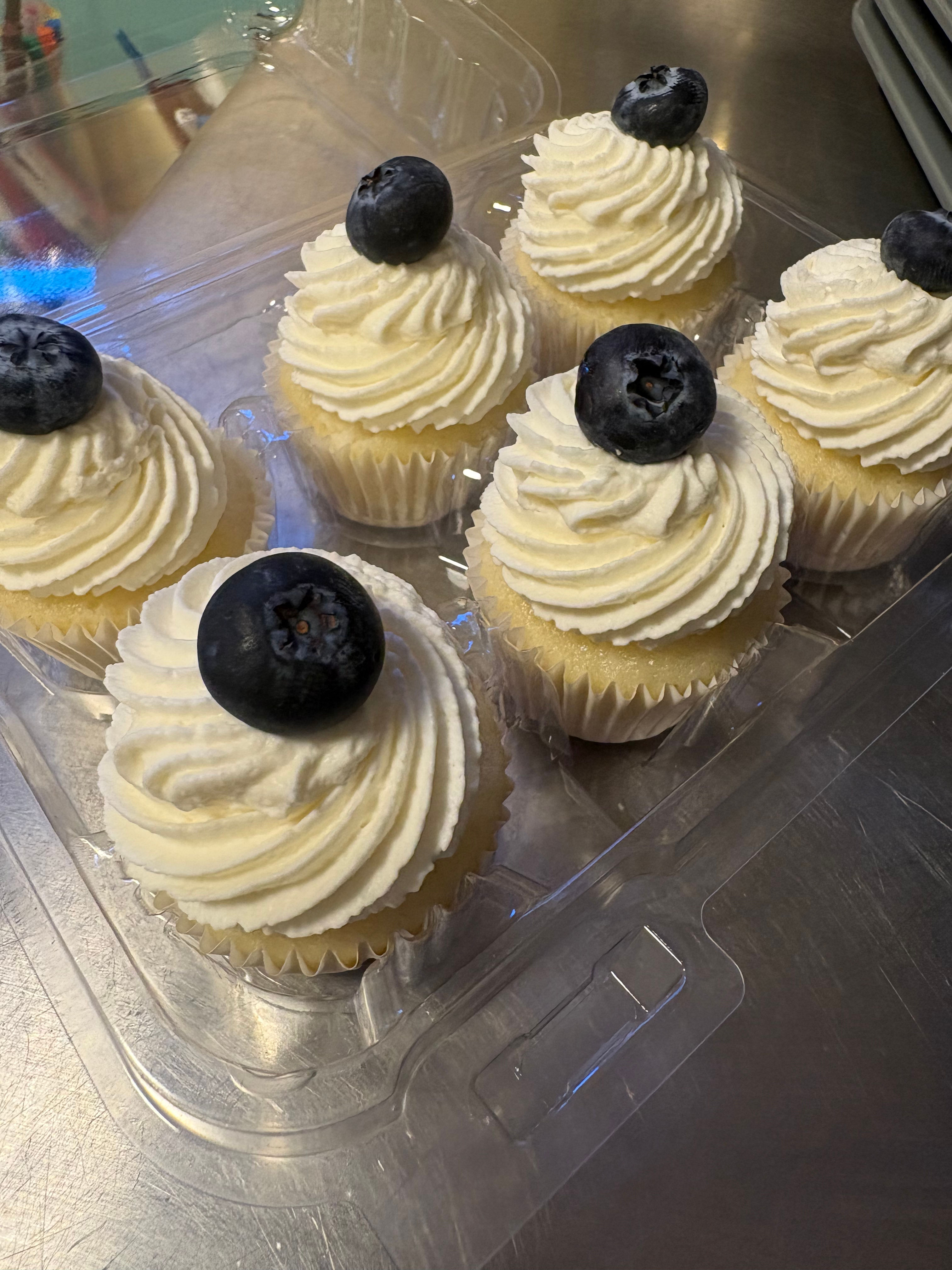 Mini Cupcakes (6 pack)