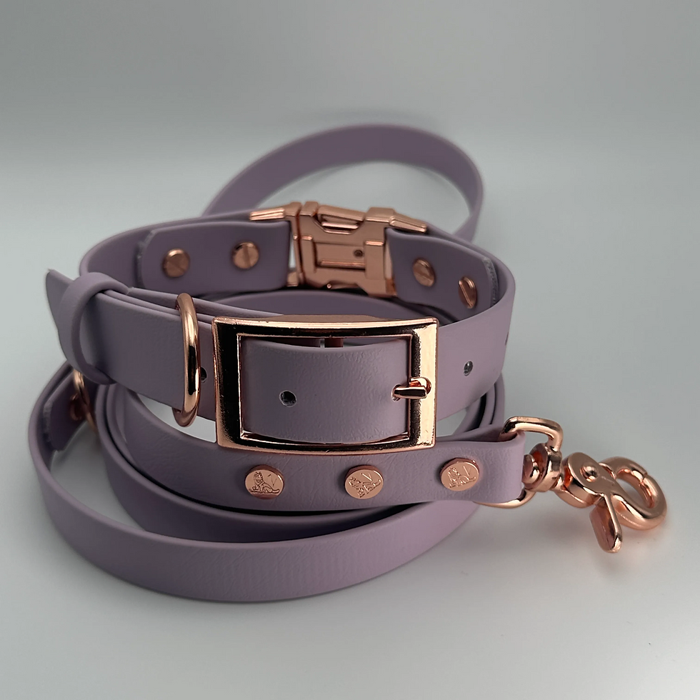 Thumbnail: QuickAdapt Collar and Leash Set (Lavender)