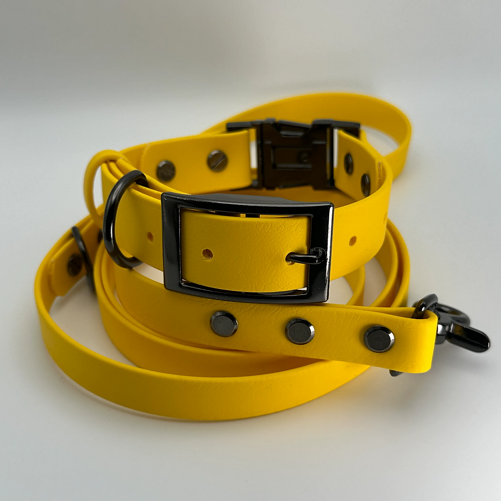 Thumbnail: QuickAdapt Collar and Leash Set (Lemon)