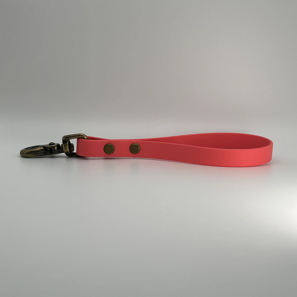 Thumbnail: Mini Me Match Wristlet (Coral)
