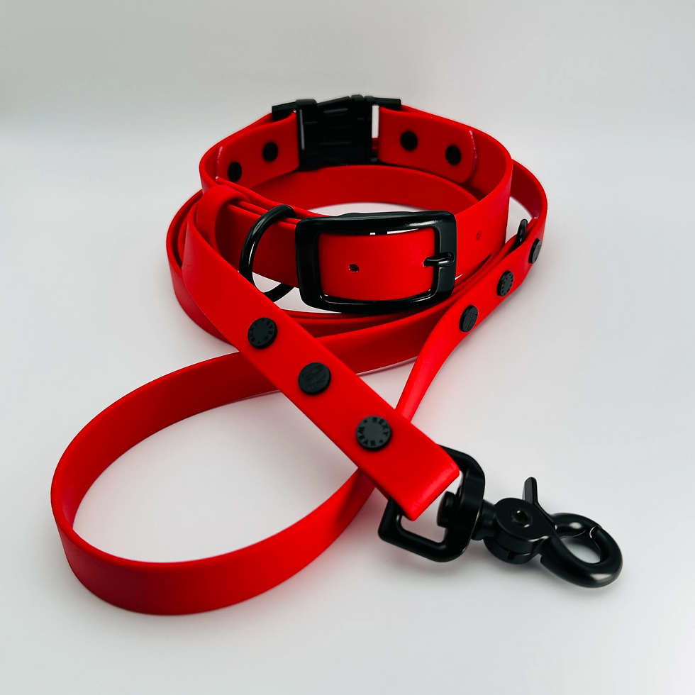 Thumbnail: QuickAdapt Collar and Leash Set (Cherry Red)