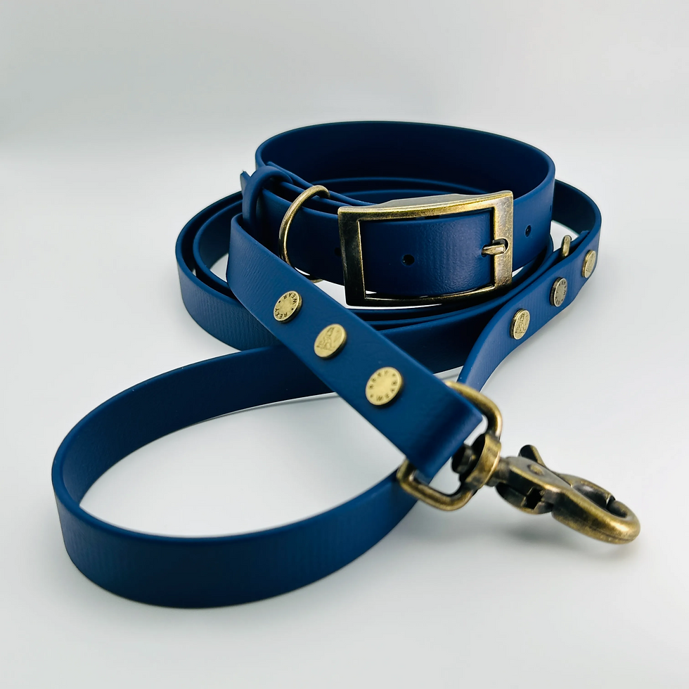 Thumbnail: TailorPup Collar and Leash Set (Navy Blue)