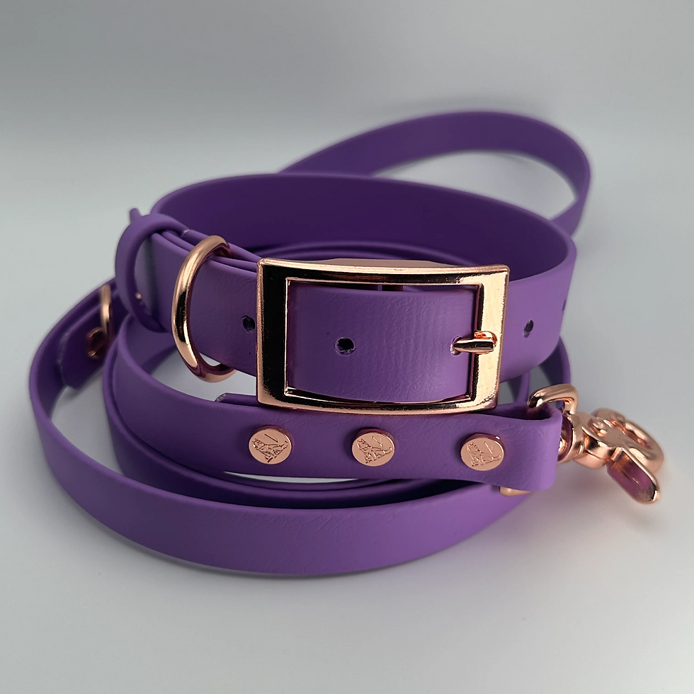 Thumbnail: TailorPup Collar and Leash Set (Amethyst)