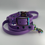Thumbnail: QuickAdapt Collar and Leash Set (Amethyst)