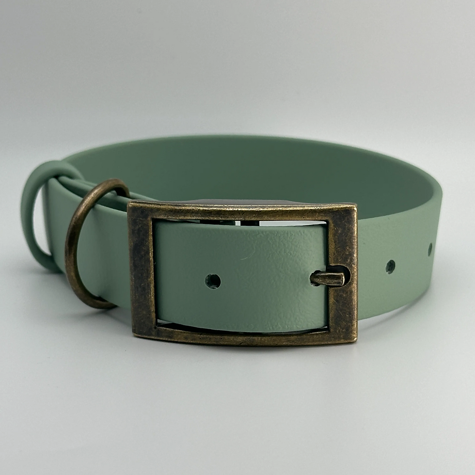 Thumbnail: TailorPup Elegant Collar (Sage)
