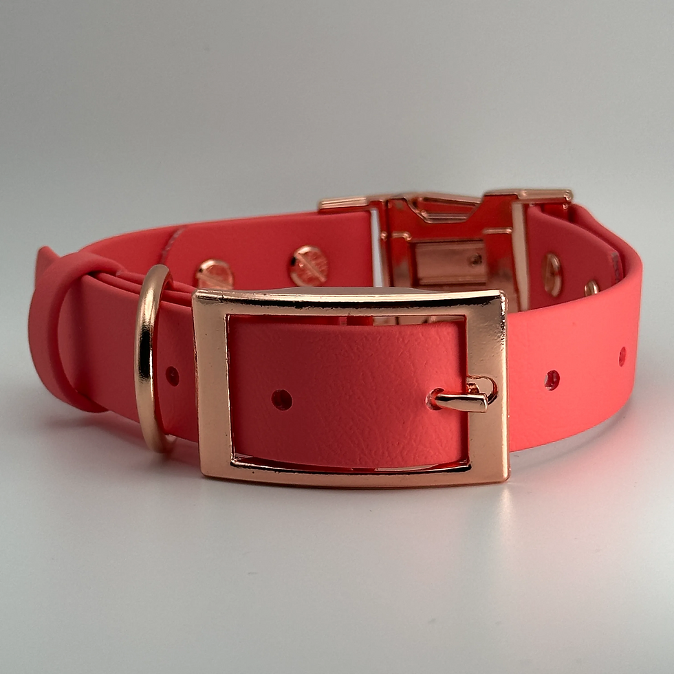 Thumbnail: QuickAdapt Duo Chic Collar (Coral)