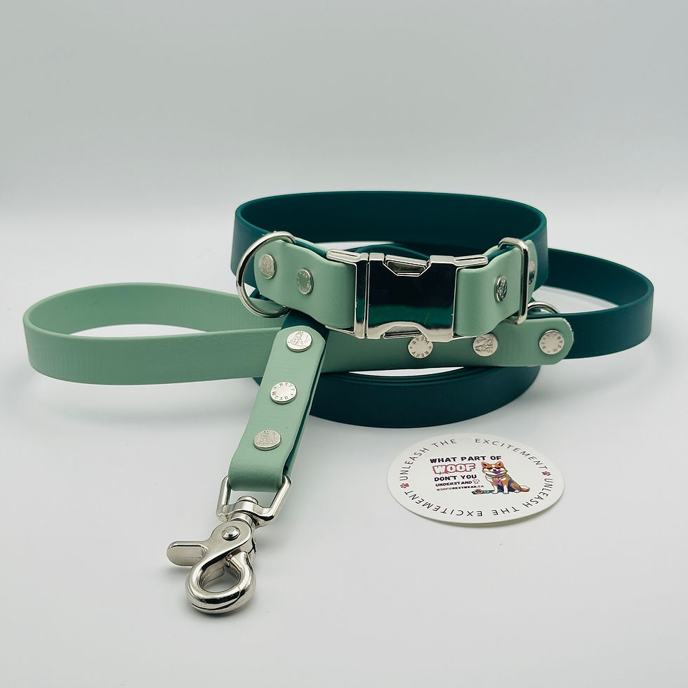 Thumbnail: QuickAdapt Solo Collar and Leash Set (Two-Tone)