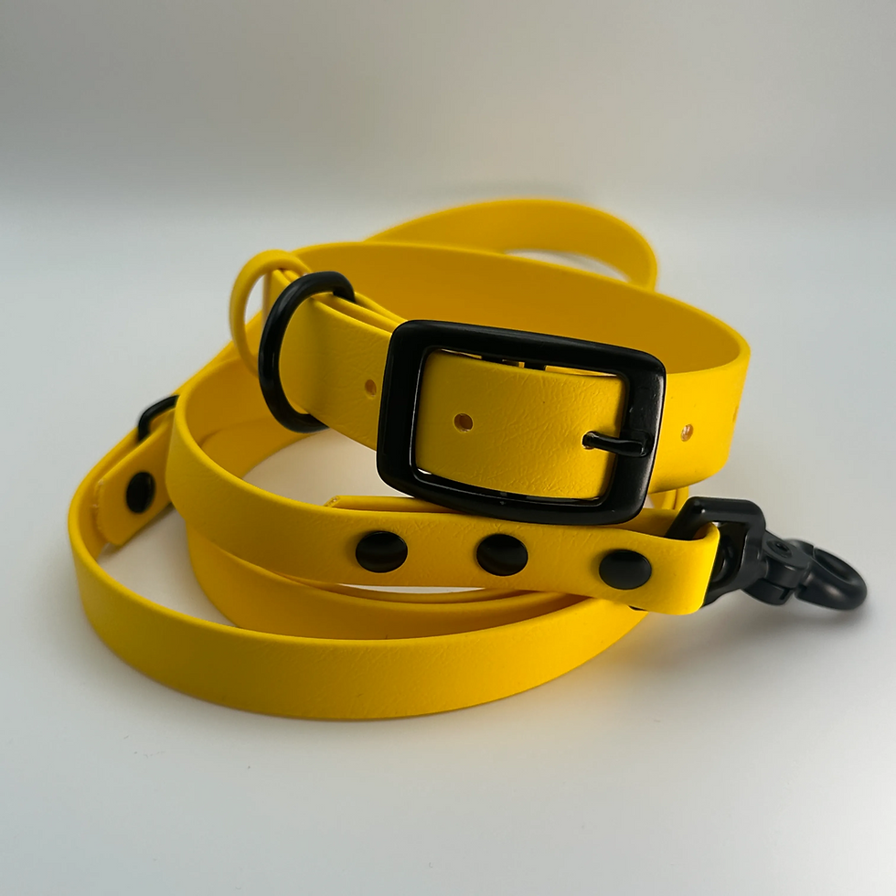 Thumbnail: TailorPup Collar and Leash Set (Lemon)