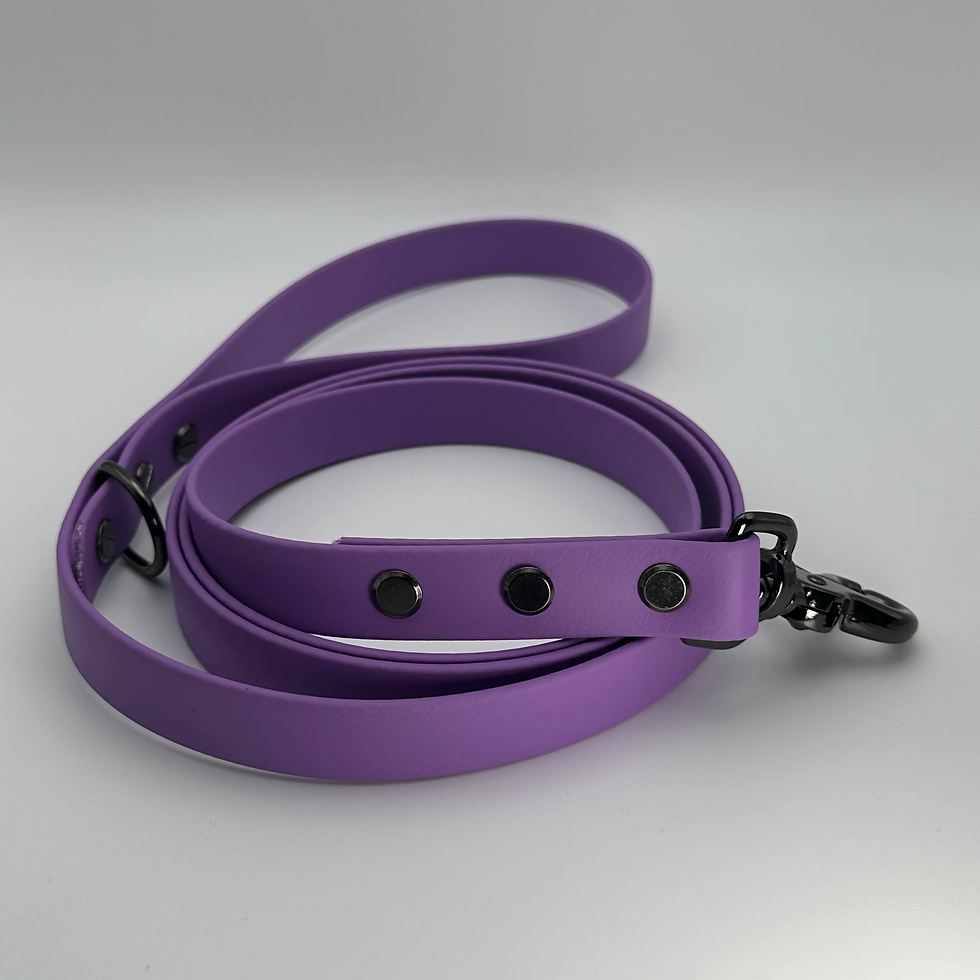 Thumbnail: TailorPup Prestige Leash (Amethyst)