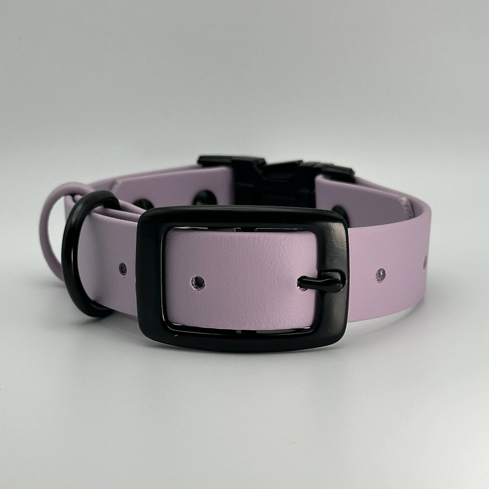 Thumbnail: QuickAdapt Duo Chic Collar (Lavender)