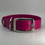 Miniature : TailorPup Elegant Collar (Magenta)