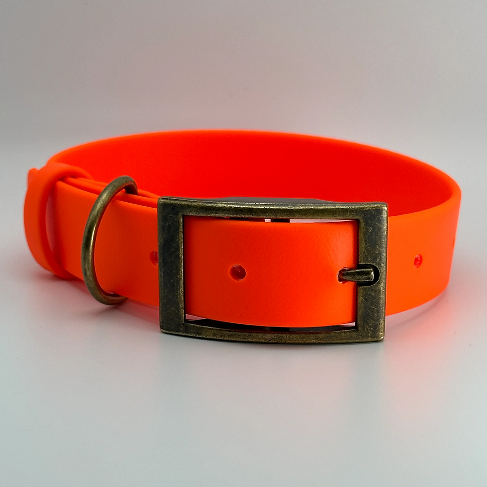 Thumbnail: TailorPup Elegant Collar (Hunter Orange)