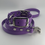 Thumbnail: QuickAdapt Collar and Leash Set (Amethyst)