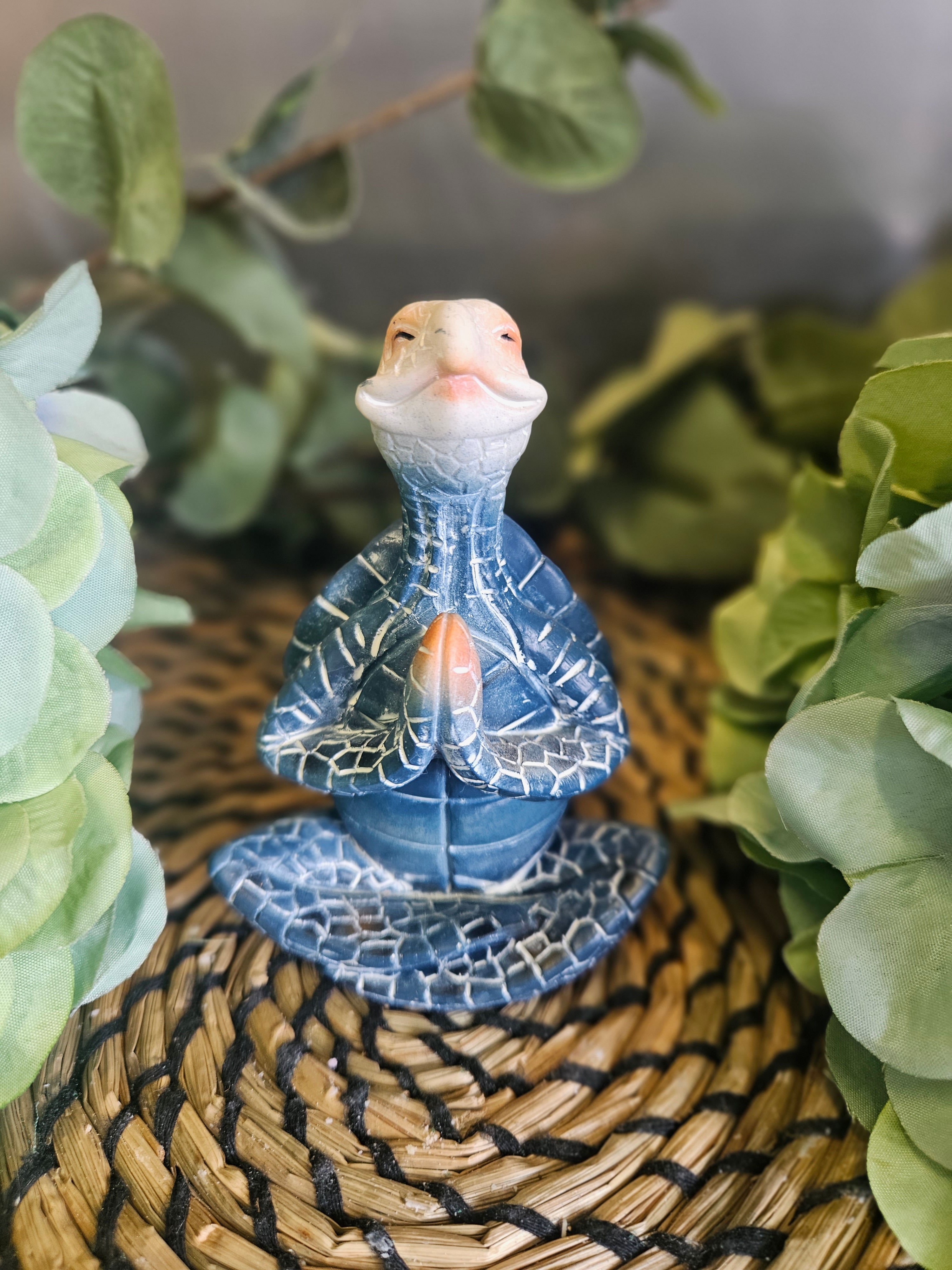 Blue Meditating Turtle