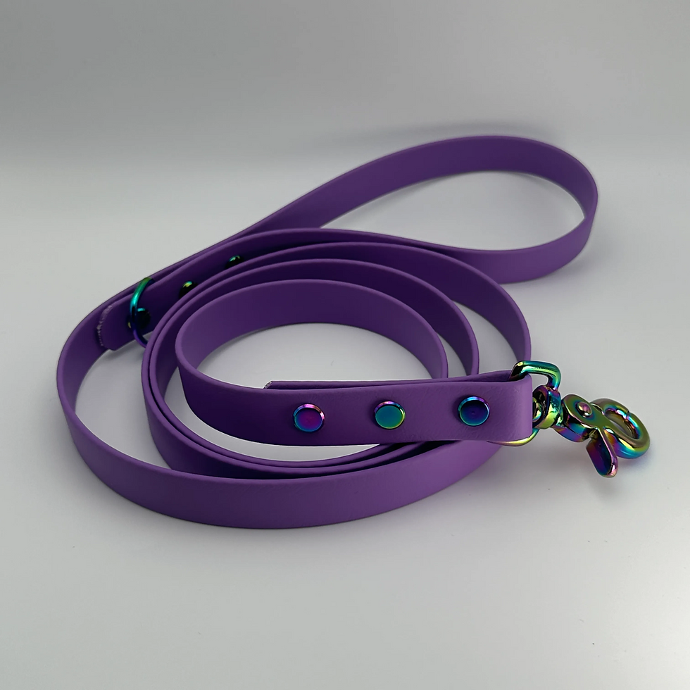 Thumbnail: TailorPup Prestige Leash (Amethyst)