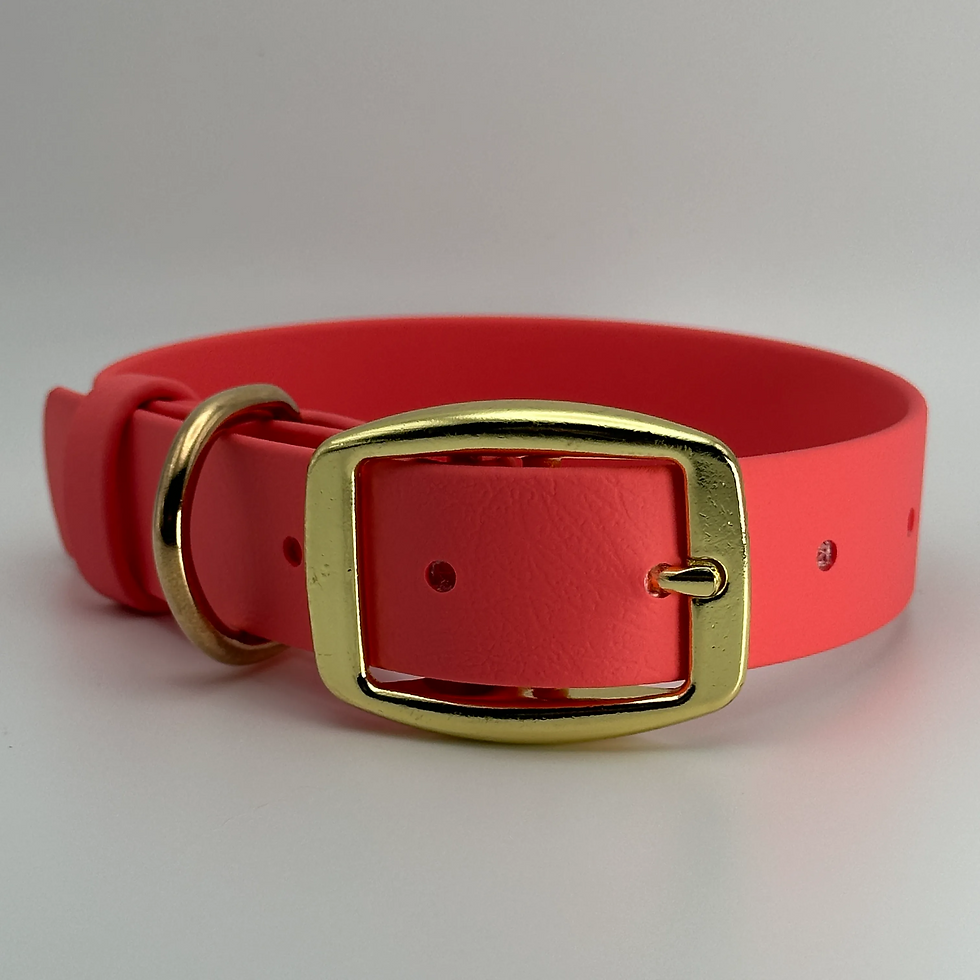 Thumbnail: TailorPup Elegant Collar (Coral)