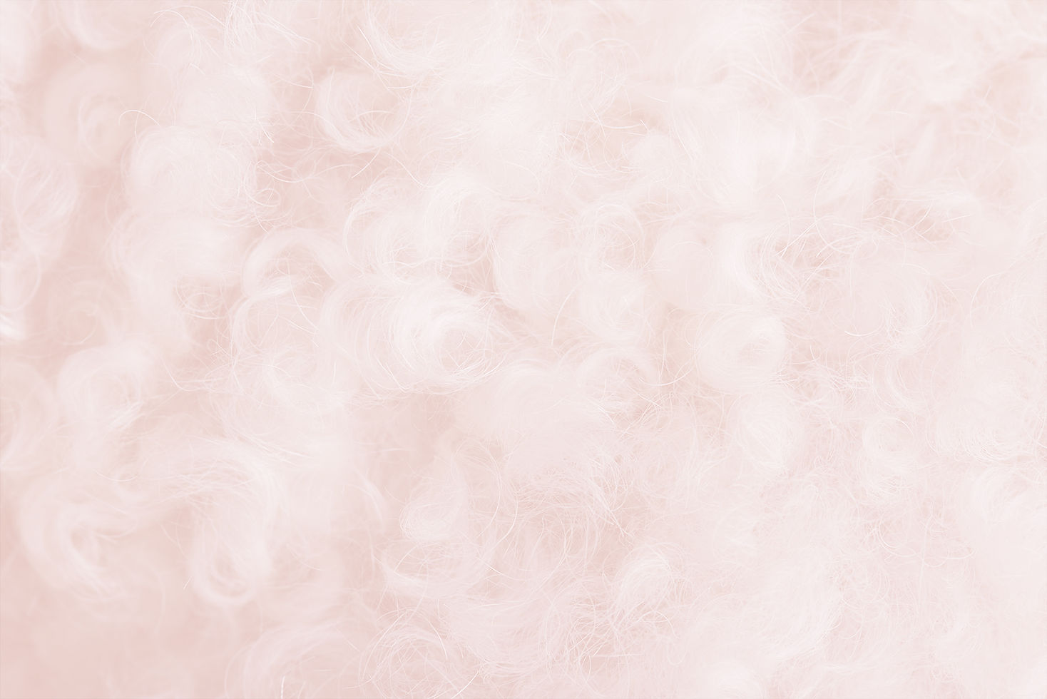 poodle fur close up pink v1.jpg