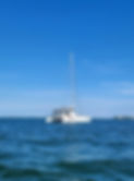 IMG_8763.jpeg