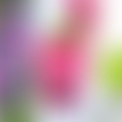 Healthy breakfast smoothies for weight loss - U.S - UK FLW