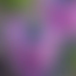 Weight loss smoothies to make at home | THE SMOOTHIE DIET 21-DAY PROGRAM