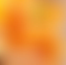 [Detox smoothies to shed belly weight] USA [OKINAWA FLAT BELLY TONIC] FLW