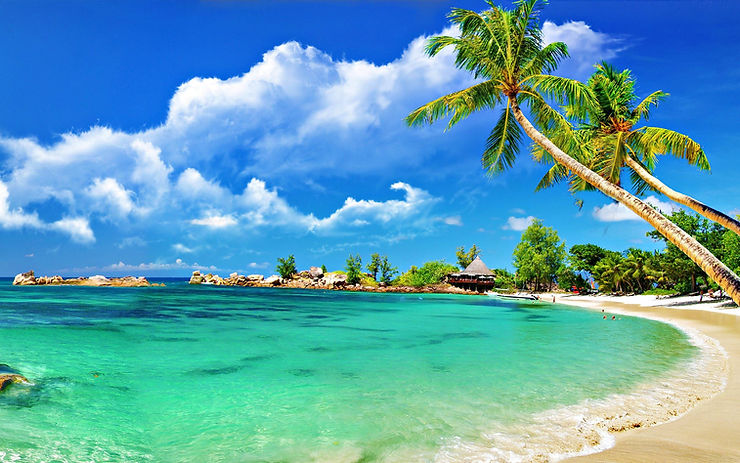 Serene view of beach in Goa featuring greenery and crystal clear water.