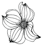 general-flower-filled-transparent.png