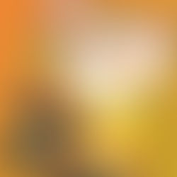 Latest Issue of "The National Gardener"