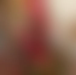 Crane House Tours This Weekend