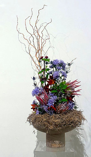 Karen Fricke
