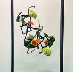 Banner Month for Competitions