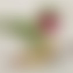 Creating Art from Pressed and Dried Plants