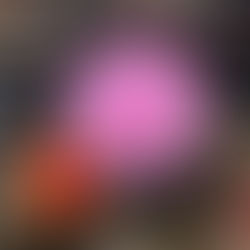 The End of the Dahlias