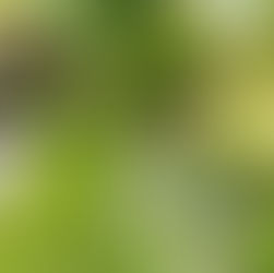 Open Garden: Farm to Fable