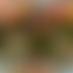 Bouquets for Thanksgiving