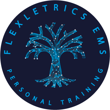 LOGO TRASPARENT FOR WEB.png