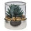 Miniature : Terrarium plante artificielle Sky haut 8,5 cm assorti
