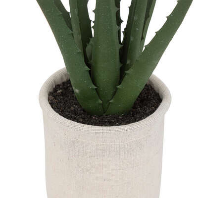 Miniature : Aloe vera pot nat hera h29