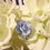 Miniature : 12 Roses Papier Bleu Ciel Ø3,5cm sur Tiges