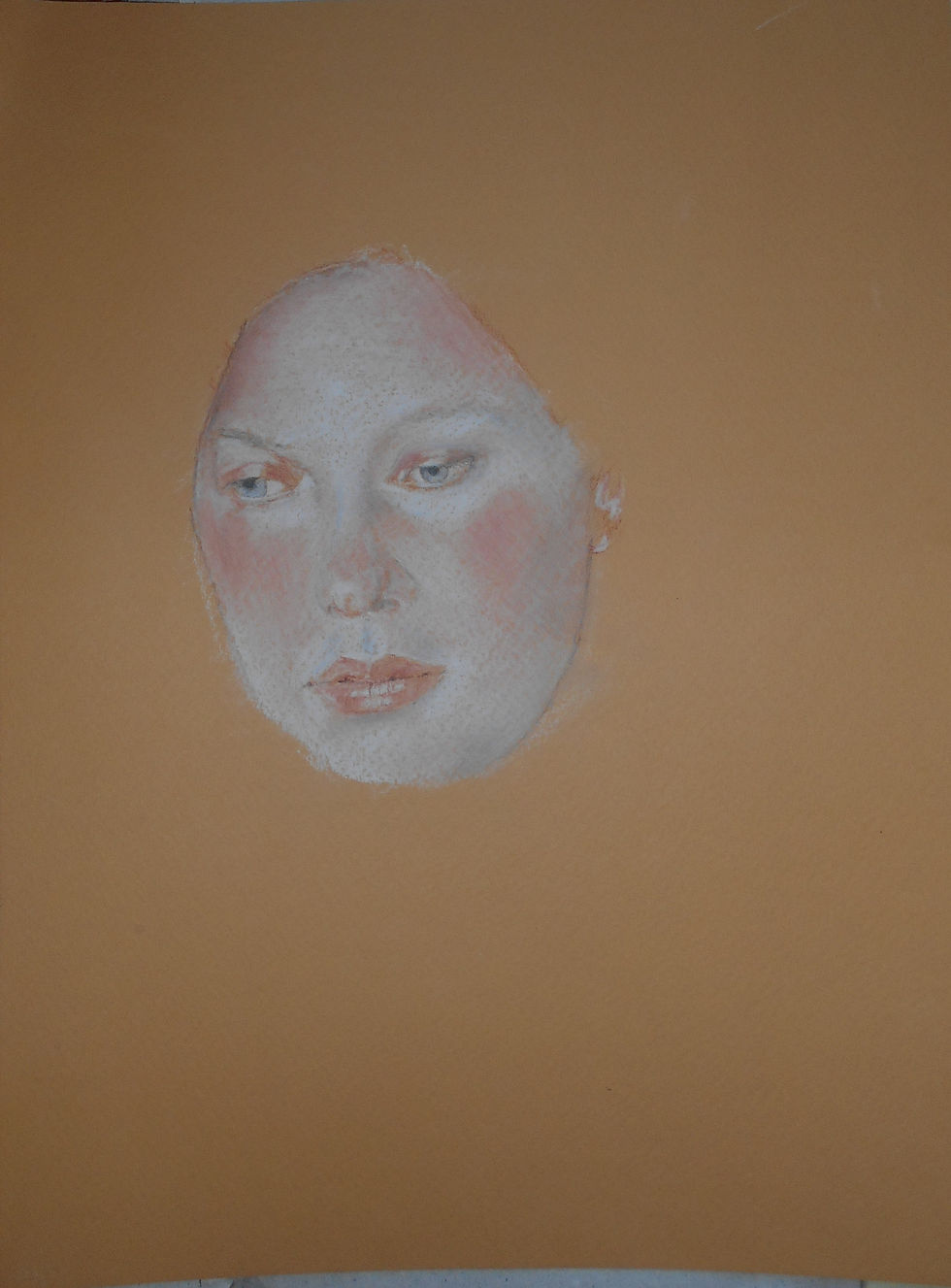 Studie 1 2010