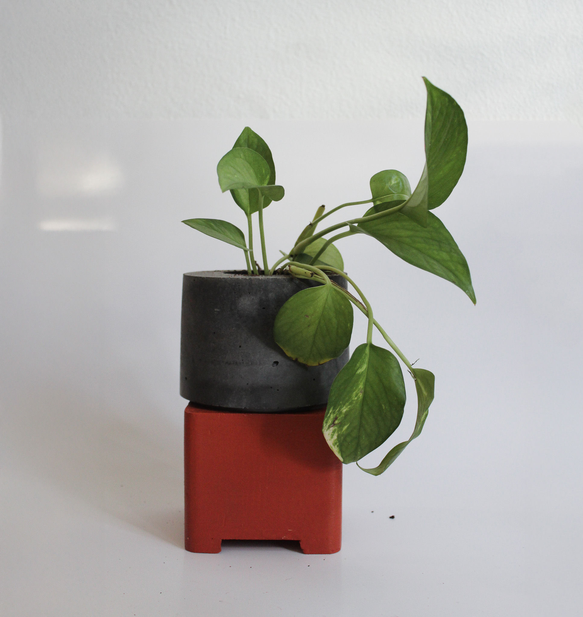 GEO PLANTER