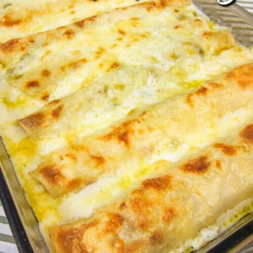 White Chicken Protein Packed Enchiladas