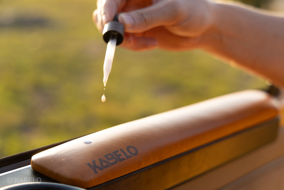 Thumbnail: LEATHER CARE KIT