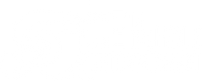 _Primary_ACE-Logo_KO copy.png