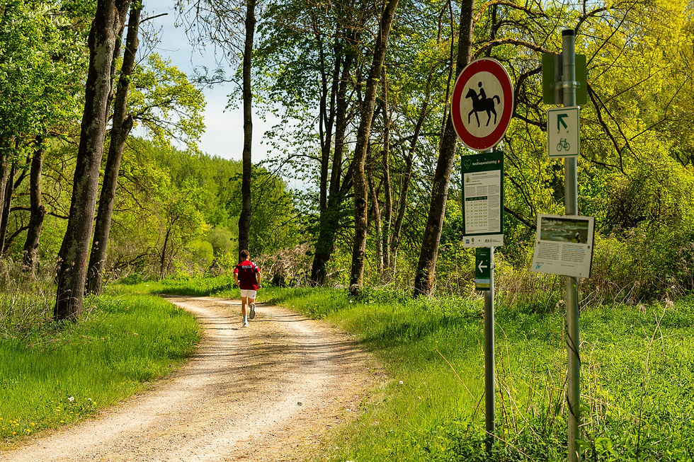 avd_20260503_111059_A7402394