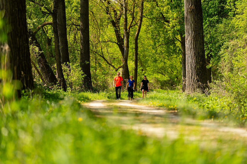 avd_20260503_113020_A7402549